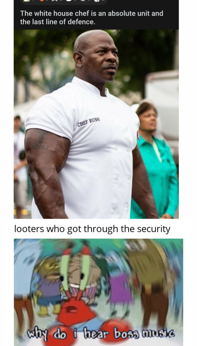 rhetorical analysis ap lang memes - The white house chef is an absolute unit and the last line of defence Cher looters who got through the security why do i hear boss music