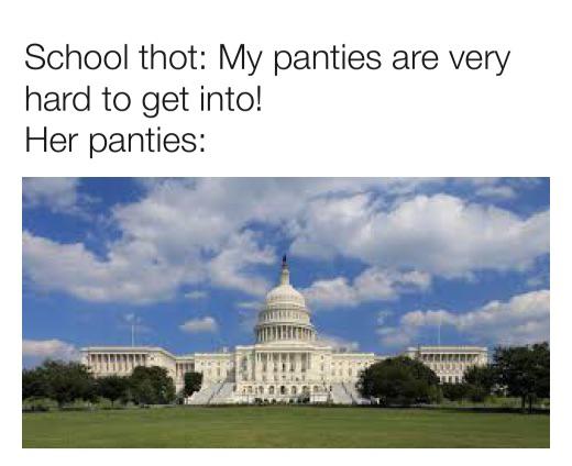 congress is divided into two houses called - School thot My panties are very hard to get into! Her panties