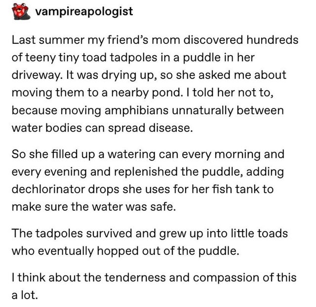 Erectile dysfunction - vampireapologist Last summer my friend's mom discovered hundreds of teeny tiny toad tadpoles in a puddle in her driveway. It was drying up, so she asked me about moving them to a nearby pond. I told her not to, because moving amphib
