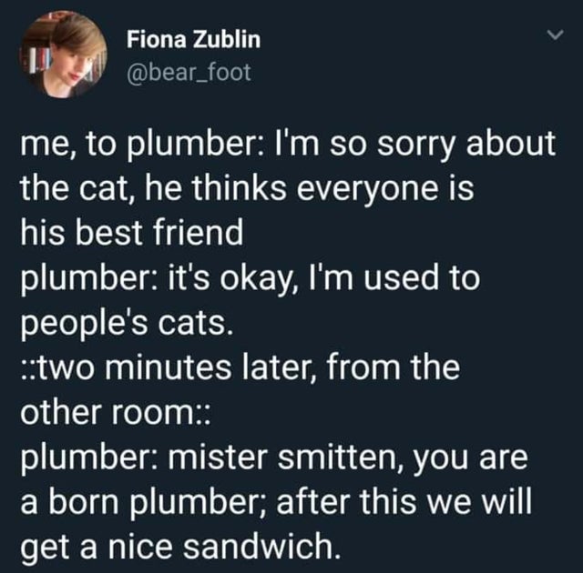 sky - Fiona Zublin me, to plumber I'm so sorry about the cat, he thinks everyone is his best friend plumber it's okay, I'm used to people's cats. two minutes later, from the other room plumber mister smitten, you are a born plumber; after this we will get