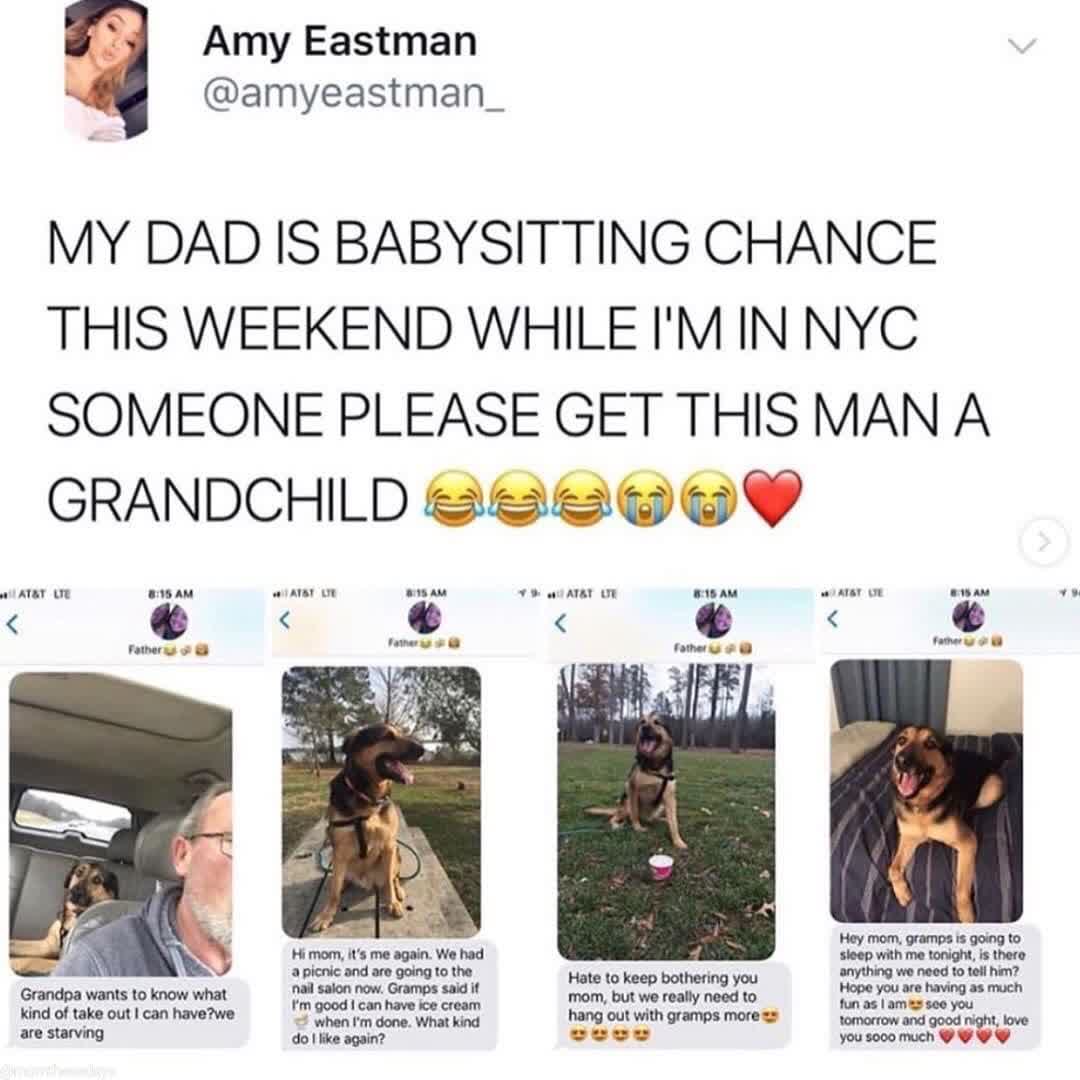 media - Amy Eastman My Dad Is Babysitting Chance This Weekend While I'M In Nyc Someone Please Get This Man A Grandchild Go At&T Ue Atat De At&T Ur Ast De Father Father Father Grandpa wants to know what kind of take out I can have?we are starving Hi mom, i