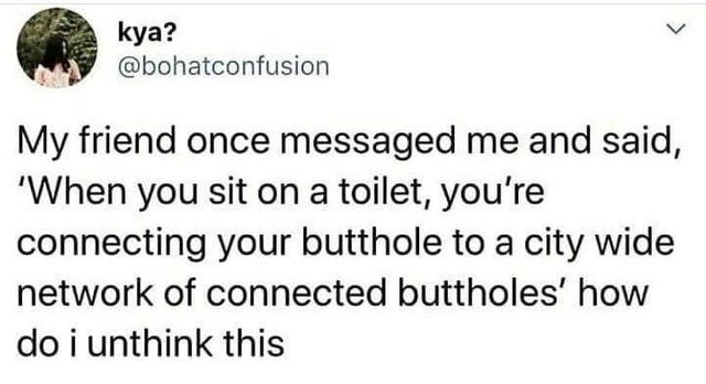 owl city twitter - kya? My friend once messaged me and said, 'When you sit on a toilet, you're connecting your butthole to a city wide network of connected buttholes' how do i unthink this