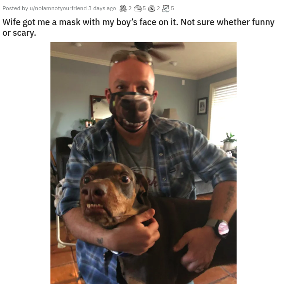 dog - Posted by unoiamnotyourfriend 3 days ago 25 $25 Wife got me a mask with my boy's face on it. Not sure whether funny or scary.