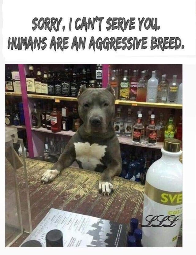 dogs in a liquor store - Sorry, I Can'T Serve You. Humans Are An Aggressive Breed. Don Sve Lll