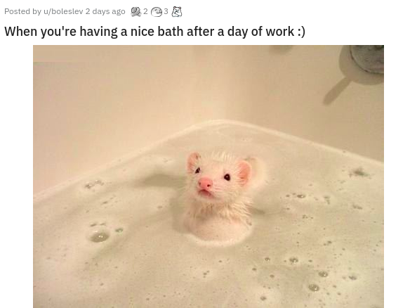 mouse bath - Posted by uboleslev 2 days ago 23 When you're having a nice bath after a day of work