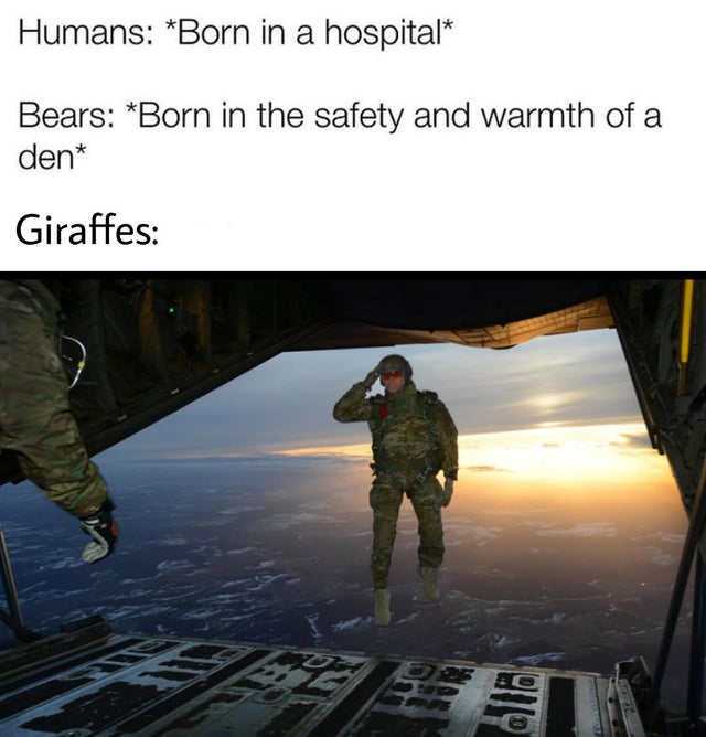 jumping out of plane meme - Humans Born in a hospital Bears Born in the safety and warmth of a den Giraffes