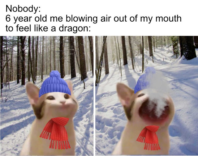 Internet meme - Nobody 6 year old me blowing air out of my mouth to feel a dragon