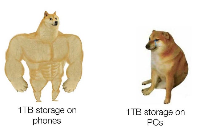musicians then and now meme - 1TB storage on phones 1TB storage on PCs