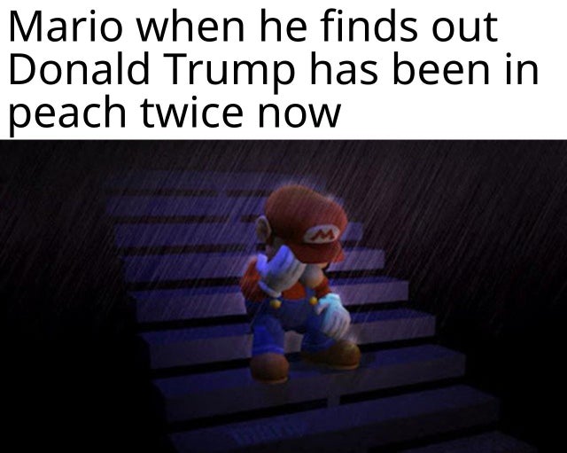 Donald Trump - Mario when he finds out Donald Trump has been in peach twice now
