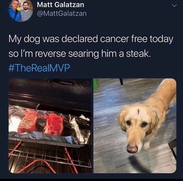 my dog was declared cancer free - Matt Galatzan My dog was declared cancer free today so I'm reverse searing him a steak.