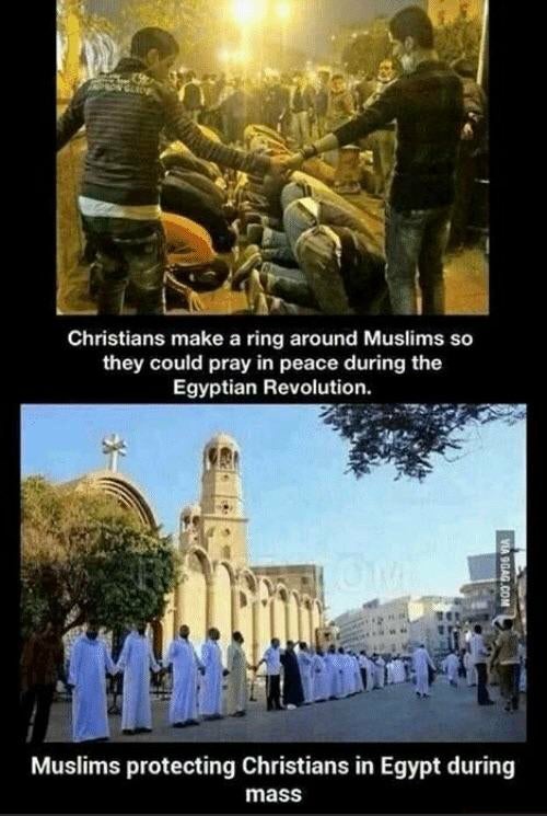 christians protecting muslims - Christians make a ring around Muslims so they could pray in peace during the Egyptian Revolution. Via 9GAG.Com Muslims protecting Christians in Egypt during mass