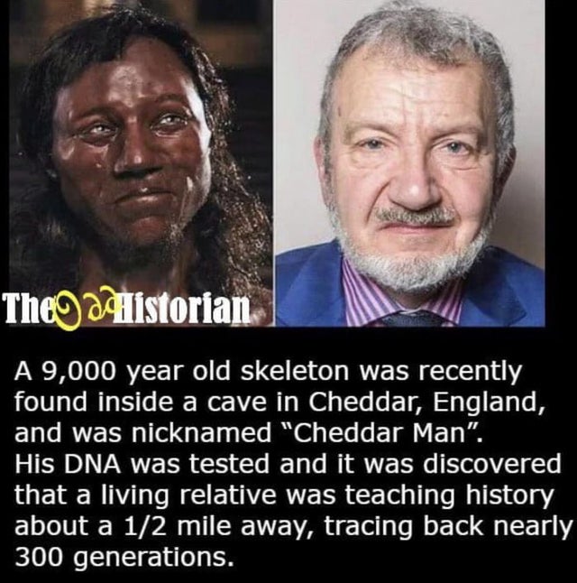 photo caption - Theg amiistorian. A 9,000 year old skeleton was recently found inside a cave in Cheddar, England, and was nicknamed Cheddar Man. His Dna was tested and it was discovered that a living relative was teaching history about a 12 mile away, tra