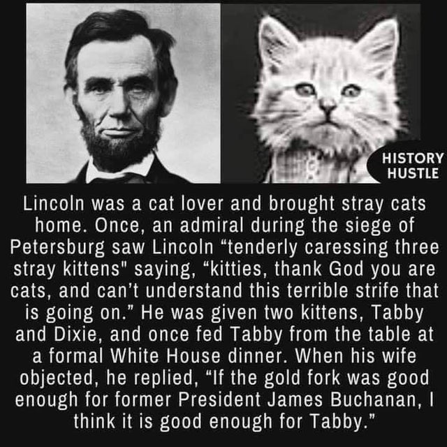 king abraham lincoln - History Hustle Lincoln was a cat lover and brought stray cats home. Once, an admiral during the siege of Petersburg saw Lincoln tenderly caressing three stray kittens saying, kitties, thank God you are cats, and can't understand thi