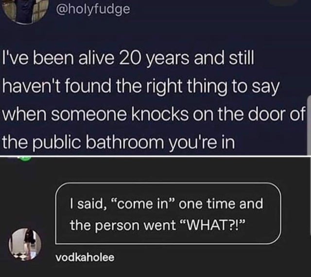 software - I've been alive 20 years and still haven't found the right thing to say when someone knocks on the door of the public bathroom you're in I said, come in one time and the person went What?! vodkaholee