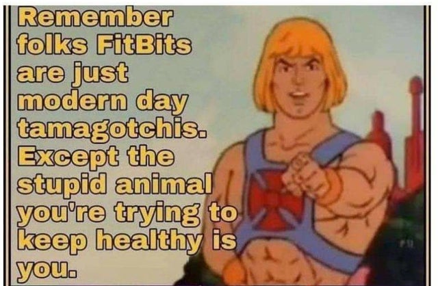 there are 2 types of people - Remember folks FitBits are just modern day tamagotchis. Except the stupid animal you're trying to keep healthy is you.