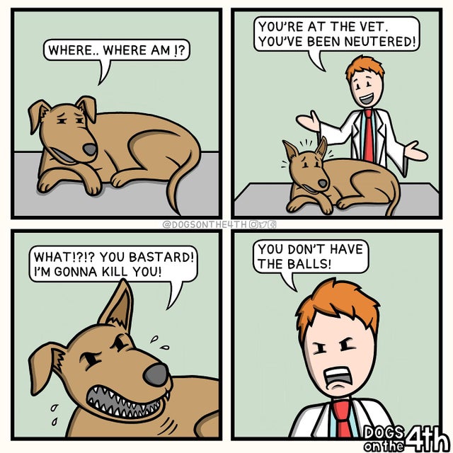 r bonehurtingjuice - You'Re At The Vet. You'Ve Been Neutered! Where.. Where Am !? 9 You Don'T Have What!?!? You Bastard! The Balls! I'M Gonna Kill You! De Il Ics Dogs on the