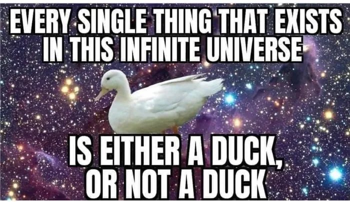 Biggest Secret - Every Single Thing That Exists In This Infinite Universe Is Either A Duck, Or Not A Duck