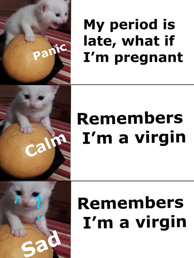 Internet meme - My period is late, what if I'm pregnant Panc Remembers I'm a virgin Calm Remembers I'm a virgin Sad