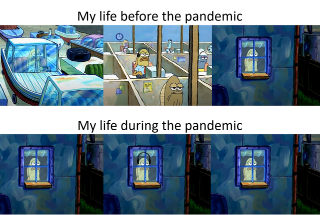 My life before the pandemic 8 My life during the pandemic