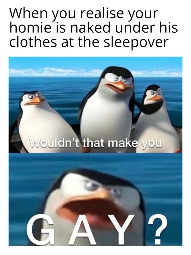 wouldn t that make you - When you realise your homie is naked under his clothes at the sleepover Wouldn't that make you Gay?