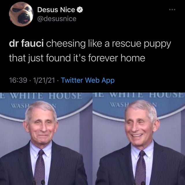 presentation - Desus Nice dr fauci cheesing a rescue puppy that just found it's forever home 12121 Twitter Web App E White House He W Wase Tte House V Wasp