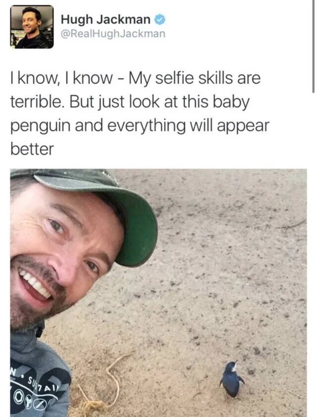 hugh jackman with a penguin - SU7 All Hugh Jackman Jackman I know, I know My selfie skills are terrible. But just look at this baby penguin and everything will appear better