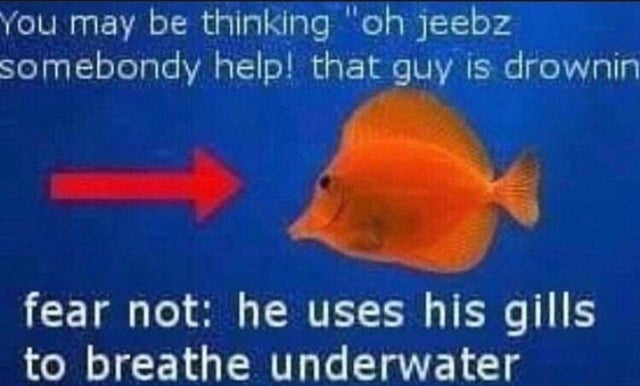 you may be thinking oh jeebz somebondy help - You may be thinking "oh jeebz somebondy help! that guy is drownin fear not he uses his gills to breathe underwater