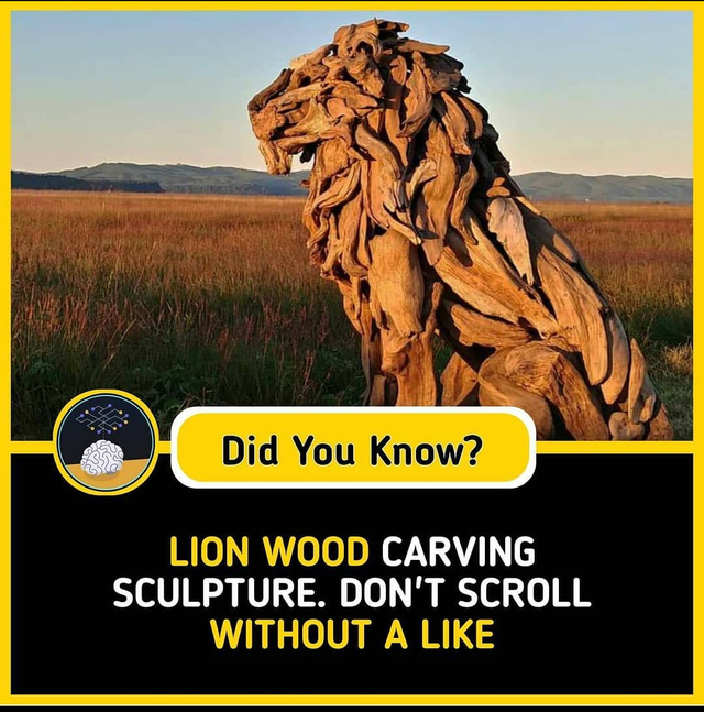jeffro uitto lion - Did You Know? Lion Wood Carving Sculpture. Don'T Scroll Without A