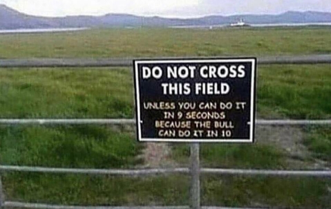 funny sign bull - Do Not Cross This Field Unless You Can Do It In 9 Seconds Because The Dull Can Do It In 10