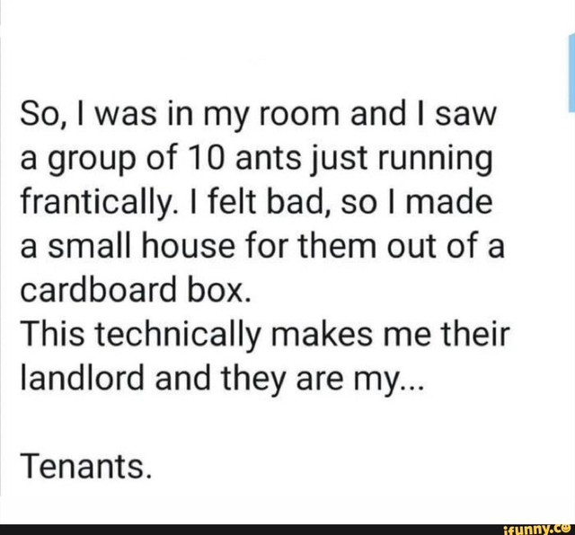 paper - So, I was in my room and I saw a group of 10 ants just running frantically. I felt bad, so I made a small house for them out of a cardboard box. This technically makes me their landlord and they are my... Tenants. ifunny.co