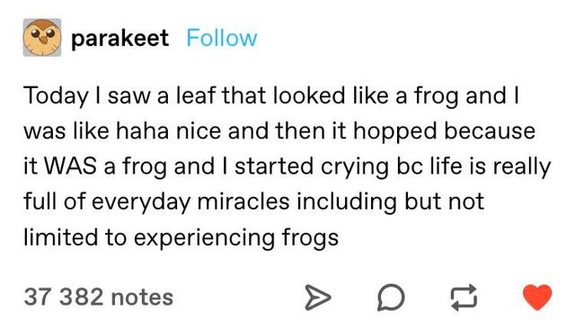 parakeet Today I saw a leaf that looked a frog and I was haha nice and then it hopped because it Was a frog and I started crying bc life is really full of everyday miracles including but not limited to experiencing frogs 37 382 notes