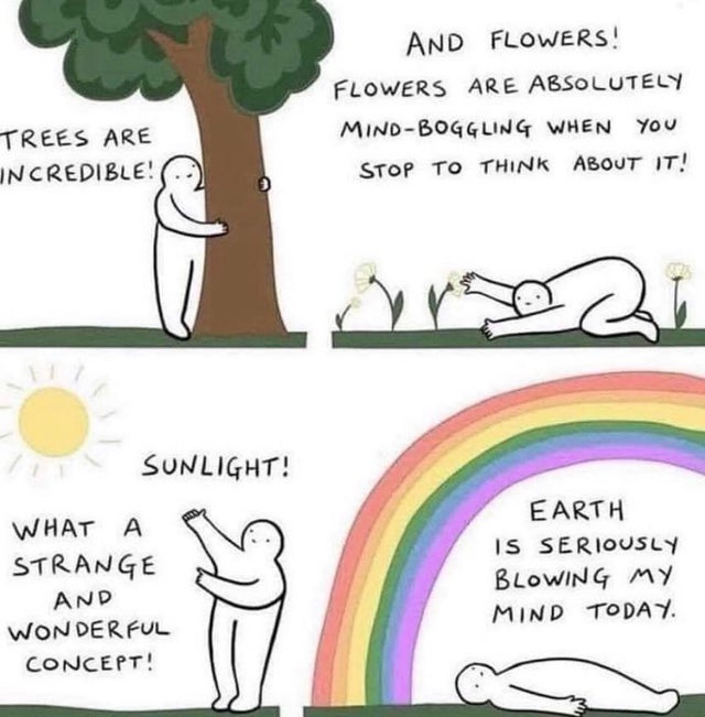 Mind - And Flowers! Flowers Are Absolutely MindBoggling When Stop To Think About It! Trees Are Incredible! Sunlight! What A Strange And Wonderful Concept! Earth Is Seriously Blowing My Mind Today