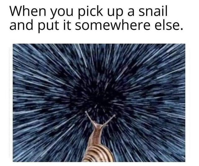 me moving a snail from the road - When you pick up a snail and put it somewhere else.