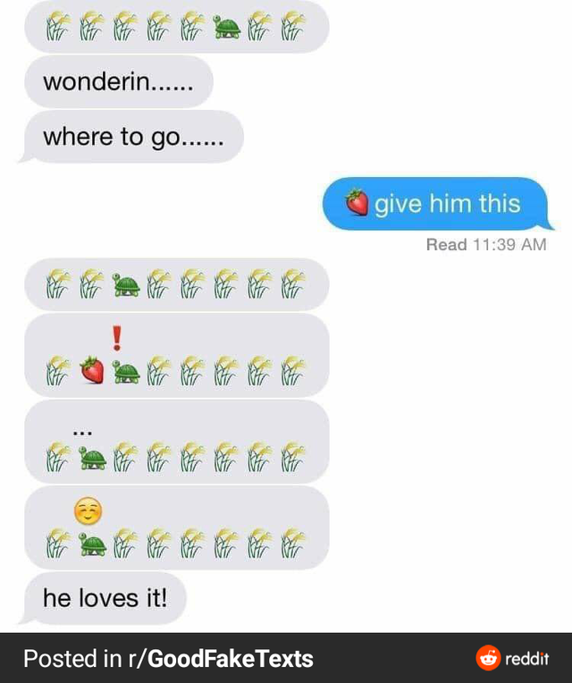 Text - wonderin...... where to go...... give him this Read he loves it! Posted in rGoodFake Texts reddit