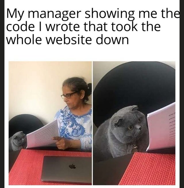 comes after meme - My manager showing me the code I wrote that took the whole website down