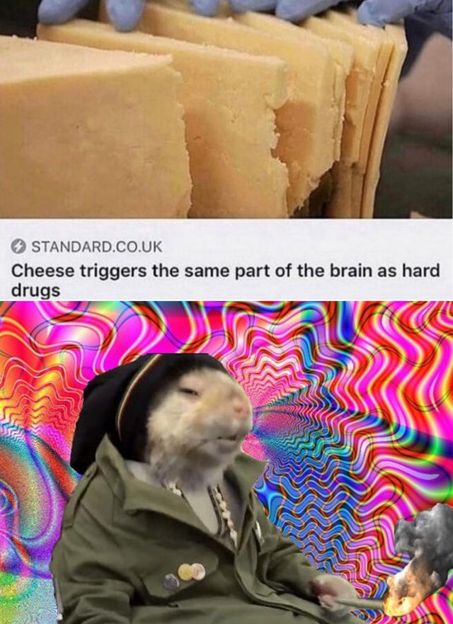 trippy - Standard.Co.Uk Cheese triggers the same part of the brain as hard drugs