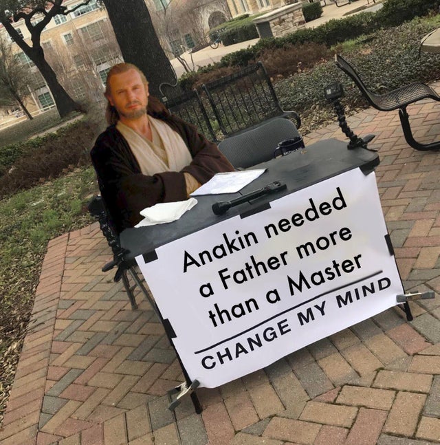 Le Her Ber Anakin needed a Father more than a Master Change My Mind