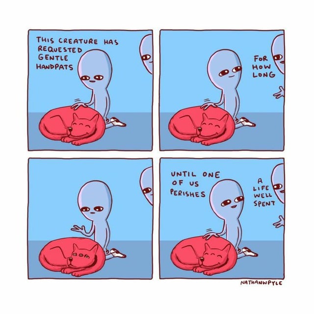strange planet bored - This Creature Has Requested Gentle Handpats For How Long Until One Of Us Perishes A Life Well Spent aso Nathanwpyle