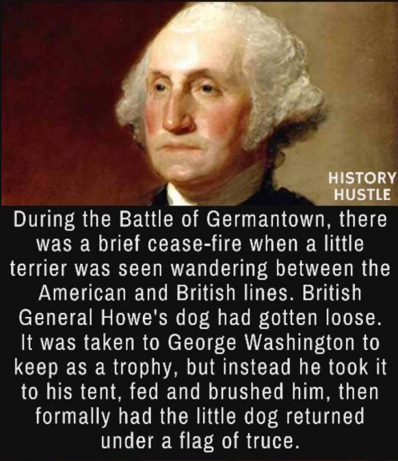 george washington on the jews - History Hustle During the Battle of Germantown, there was a brief ceasefire when a little terrier was seen wandering between the American and British lines. British General Howe's dog had gotten loose. It was taken to Georg