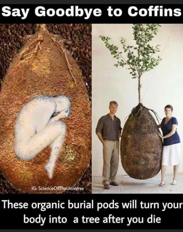say goodbye to coffins meme - Say Goodbye to Coffins Ig ScienceOfThe Universe These organic burial pods will turn your body into a tree after you die