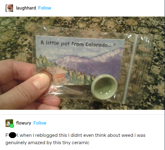 little pot from colorado meme - laughhard A little pot from Colorado... flowury Fk when i reblogged this i didnt even think about weed i was genuinely amazed by this tiny ceramic