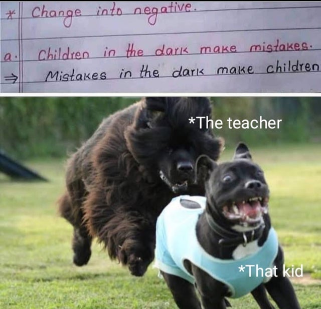 my pitbull thought he was the biggest dog - Change into negative. Children in the daria make mistakes. Mistakes in the dark make children 1 The teacher That kid