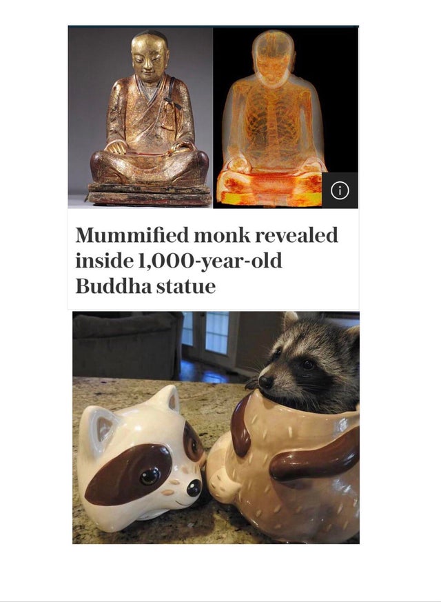 glass bottle - i Mummified monk revealed inside 1,000yearold Buddha statue