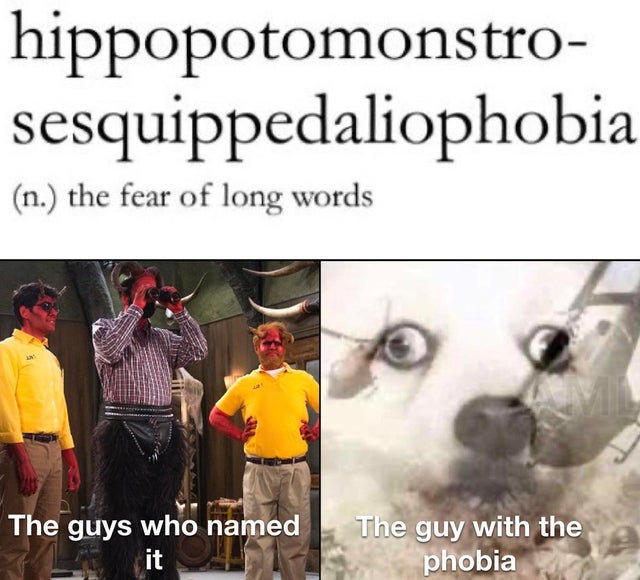 Internet meme - hippopotomonstro sesquippedaliophobia n. the fear of long words The guys who named it The guy with the phobia