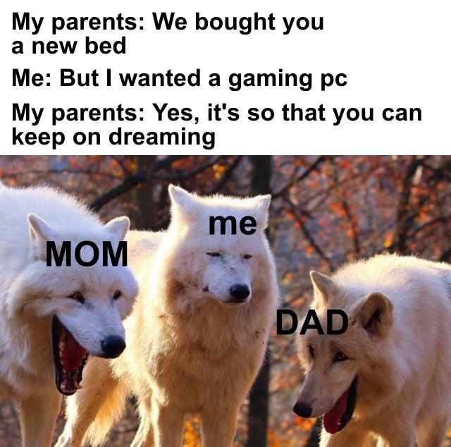 wolves memes - My parents We bought you a new bed Me But I wanted a gaming pc My parents Yes, it's so that you can keep on dreaming me Mom Dad