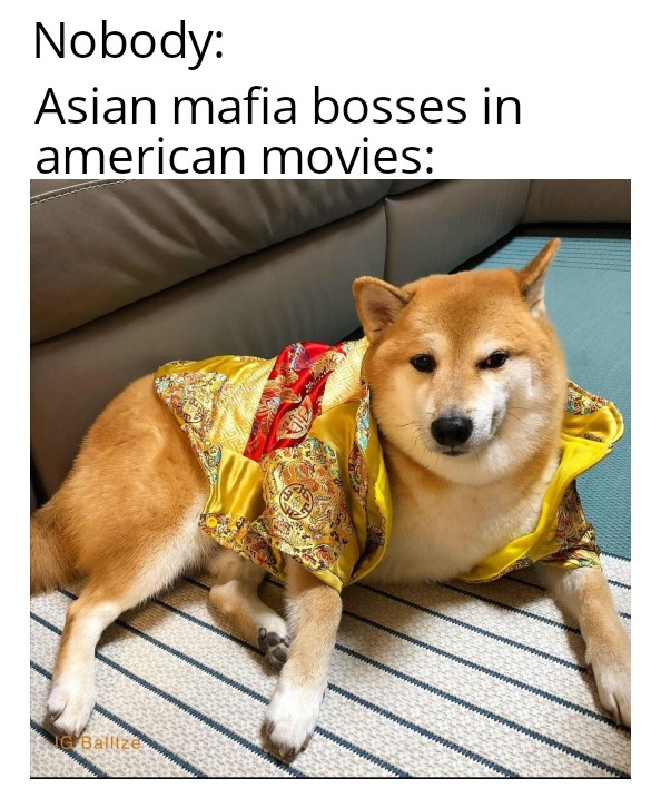 dog - Nobody Asian mafia bosses in american movies C Balltzes