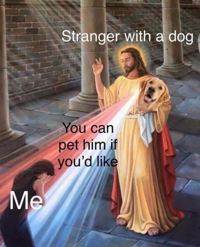 jesus meme blank - Stranger with a dog You can pet him if you'd Me