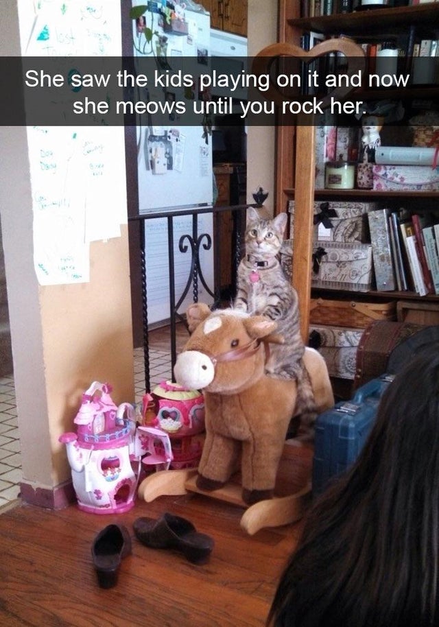 snapchat plushie memes - She saw the kids playing on it and now she meows until you rock her.