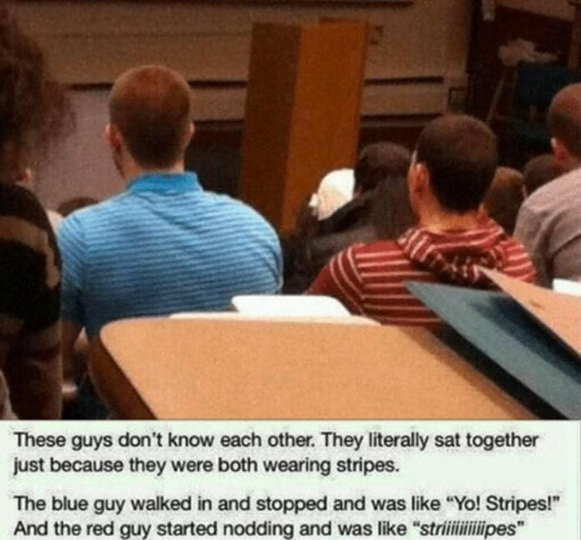 stripes stripes meme - These guys don't know each other. They literally sat together just because they were both wearing stripes. The blue guy walked in and stopped and was Yo! Stripes! And the red guy started nodding and was striititipes