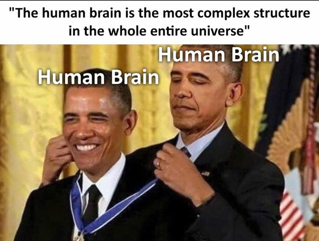 moses was the most humble meme - The human brain is the most complex structure in the whole entire universe Human Brain Human Brain